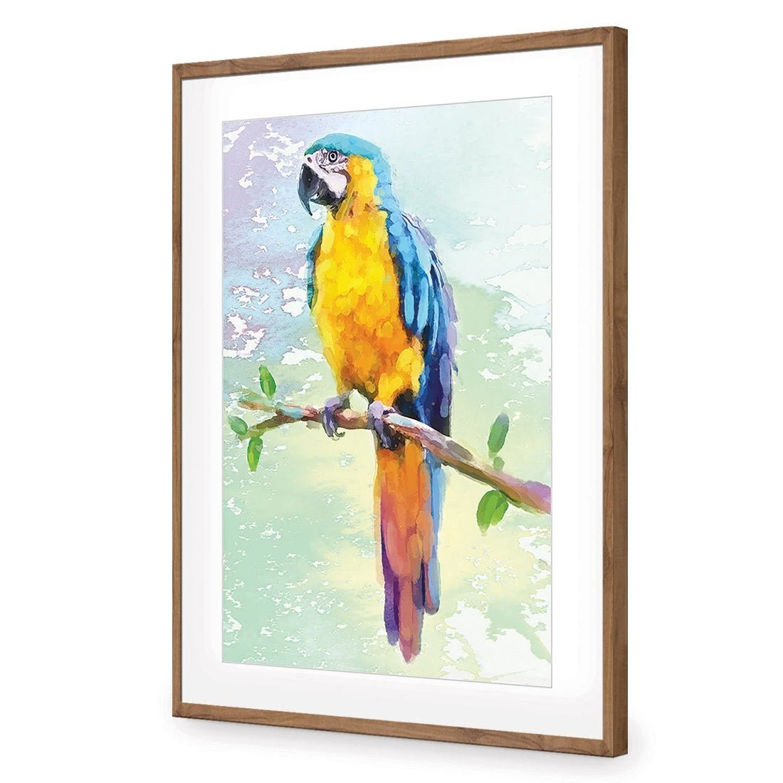 Exotic Macaw, Watercolour Exotic Macaw, Watercolour -WALL ART DESGIN SALE exotic macaw watercolour canvas stretched canvas 45x30cm 886957