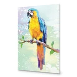 Exotic Macaw, Watercolour 15 Exotic Macaw, Watercolour -WALL ART DESGIN SALE exotic macaw watercolour canvas stretched canvas 45x30cm 893231