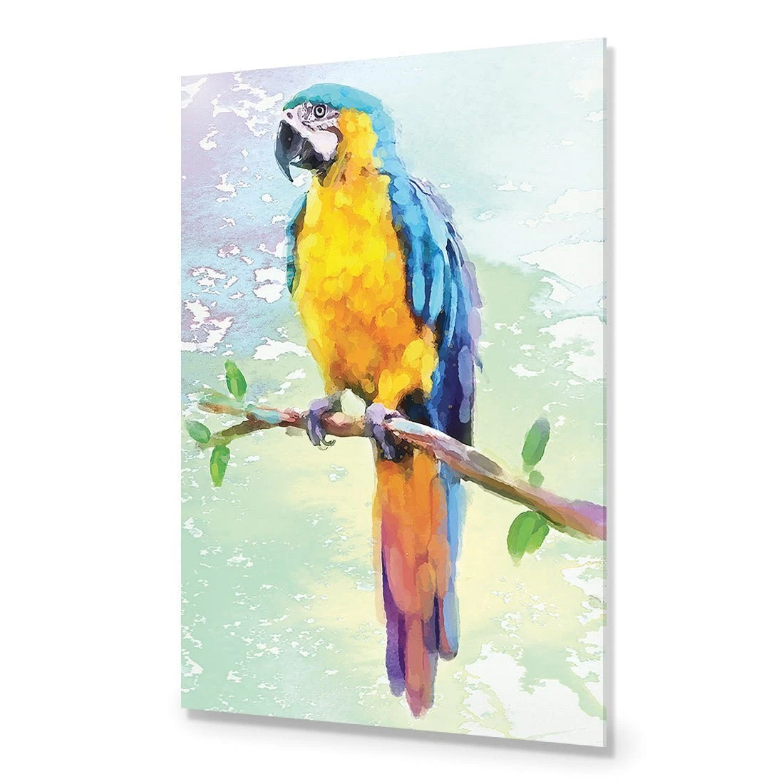 Exotic Macaw, Watercolour Exotic Macaw, Watercolour -WALL ART DESGIN SALE exotic macaw watercolour canvas stretched canvas 45x30cm 893231