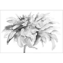 Fairy Floss, B&W Canvas Art