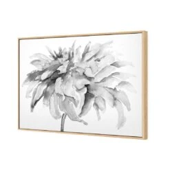 Fairy Floss, B&W Canvas Art -WALL ART DESGIN SALE fairy floss bw canvas art 45x30cm oak frame 398495