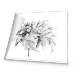 Fairy Floss, B&W Canvas Art -WALL ART DESGIN SALE fairy floss bw canvas art 45x30cm rolled canvas 277878