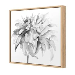 Fairy Floss, B&W, Square Canvas Art -WALL ART DESGIN SALE fairy floss bw square canvas art 30x30cm oak frame 148284