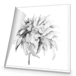 Fairy Floss, B&W, Square Canvas Art -WALL ART DESGIN SALE fairy floss bw square canvas art 30x30cm rolled canvas 924349