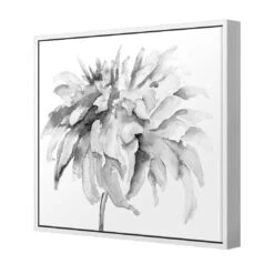 Fairy Floss, B&W, Square Canvas Art -WALL ART DESGIN SALE fairy floss bw square canvas art 30x30cm white frame 197685