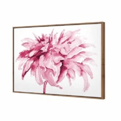 Fairy Floss, Pink Canvas Art 6 Fairy Floss, Pink Canvas Art -WALL ART DESGIN SALE fairy floss pink canvas art 45x30cm natural frame 302465