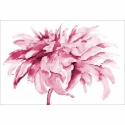 Fairy Floss, Pink Canvas Art