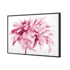 Fairy Floss, Pink Canvas Art 4 Fairy Floss, Pink Canvas Art -WALL ART DESGIN SALE fairy floss pink canvas art 45x30cm rolled canvas 655059