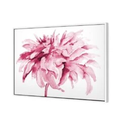 Fairy Floss, Pink Canvas Art 5 Fairy Floss, Pink Canvas Art -WALL ART DESGIN SALE fairy floss pink canvas art 59x40cm white frame 908395