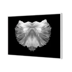 Fan Tails, Black And White (Landscape) -WALL ART DESGIN SALE fan tails black and white landscape canvas stretched canvas 45x30cm 219647