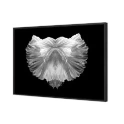 Fan Tails, Black And White (Landscape) -WALL ART DESGIN SALE fan tails black and white landscape canvas stretched canvas 45x30cm 233490