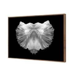 Fan Tails, Black And White (Landscape) -WALL ART DESGIN SALE fan tails black and white landscape canvas stretched canvas 45x30cm 753625