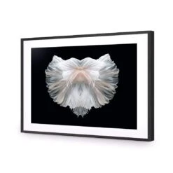 Fan Tails (Landscape) -WALL ART DESGIN SALE fan tails landscape canvas stretched canvas 45x30cm 160216
