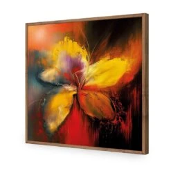 Five Painted Petals 18 Five Painted Petals -WALL ART DESGIN SALE five painted petals acrylic glass no border natural frame 37x37cm 810917