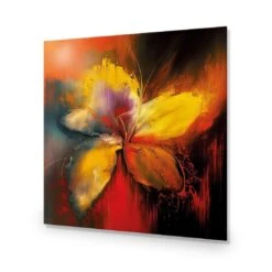 Five Painted Petals 14 Five Painted Petals -WALL ART DESGIN SALE five painted petals acrylic glass no border no frame 37x37cm 157791