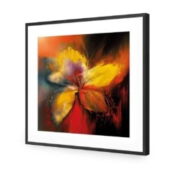 Five Painted Petals 10 Five Painted Petals -WALL ART DESGIN SALE five painted petals acrylic glass with border black frame 37x37cm 796269