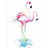 Flirty Flamingos Canvas Art -WALL ART DESGIN SALE flirty flamingos canvas art 45x30cm no frame 606044