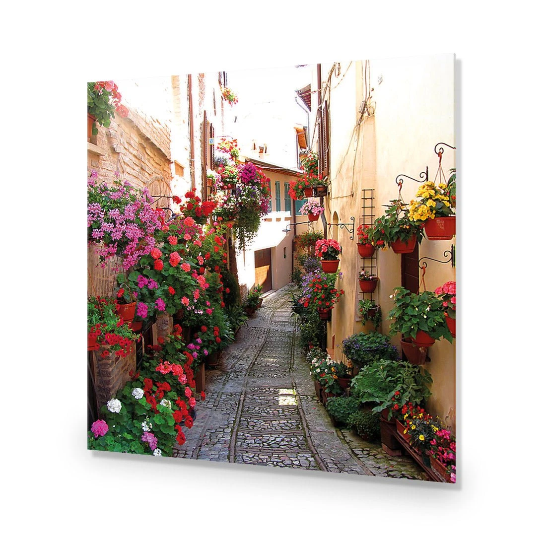 Floral Alley in Italy (square) Floral Alley In Italy (square) -WALL ART DESGIN SALE floral alley in italy square canvas stretched canvas 37x37cm 304377