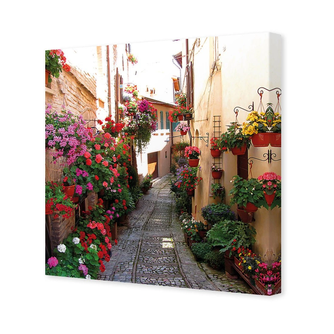 Floral Alley in Italy (square) Floral Alley In Italy (square) -WALL ART DESGIN SALE floral alley in italy square canvas stretched canvas 37x37cm 377988