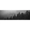 Forest Fog, Black And White (Long) -WALL ART DESGIN SALE forest fog black and white long canvas stretched canvas 60x20cm 756501