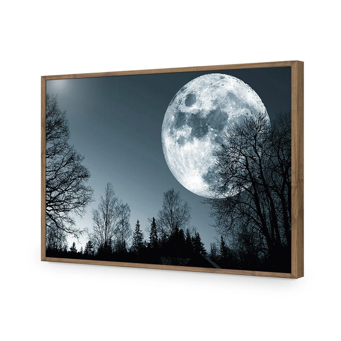 Forest Moon Acrylic Print Art Forest Moon Acrylic Print Art -WALL ART DESGIN SALE forest moon acrylic print art without border natural frame 45x30cm 914095
