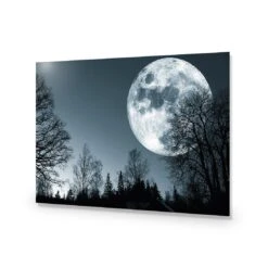 Forest Moon Acrylic Print Art 8 Forest Moon Acrylic Print Art -WALL ART DESGIN SALE forest moon acrylic print art without border no frame 45x30cm 714549