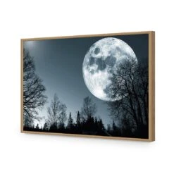 Forest Moon Acrylic Print Art 12 Forest Moon Acrylic Print Art -WALL ART DESGIN SALE forest moon acrylic print art without border oak frame 45x30cm 574155
