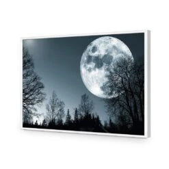 Forest Moon Acrylic Print Art 10 Forest Moon Acrylic Print Art -WALL ART DESGIN SALE forest moon acrylic print art without border white frame 45x30cm 755916