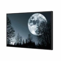 Forest Moon Canvas Art 4 Forest Moon Canvas Art -WALL ART DESGIN SALE forest moon canvas art 45x30cm black frame 493236