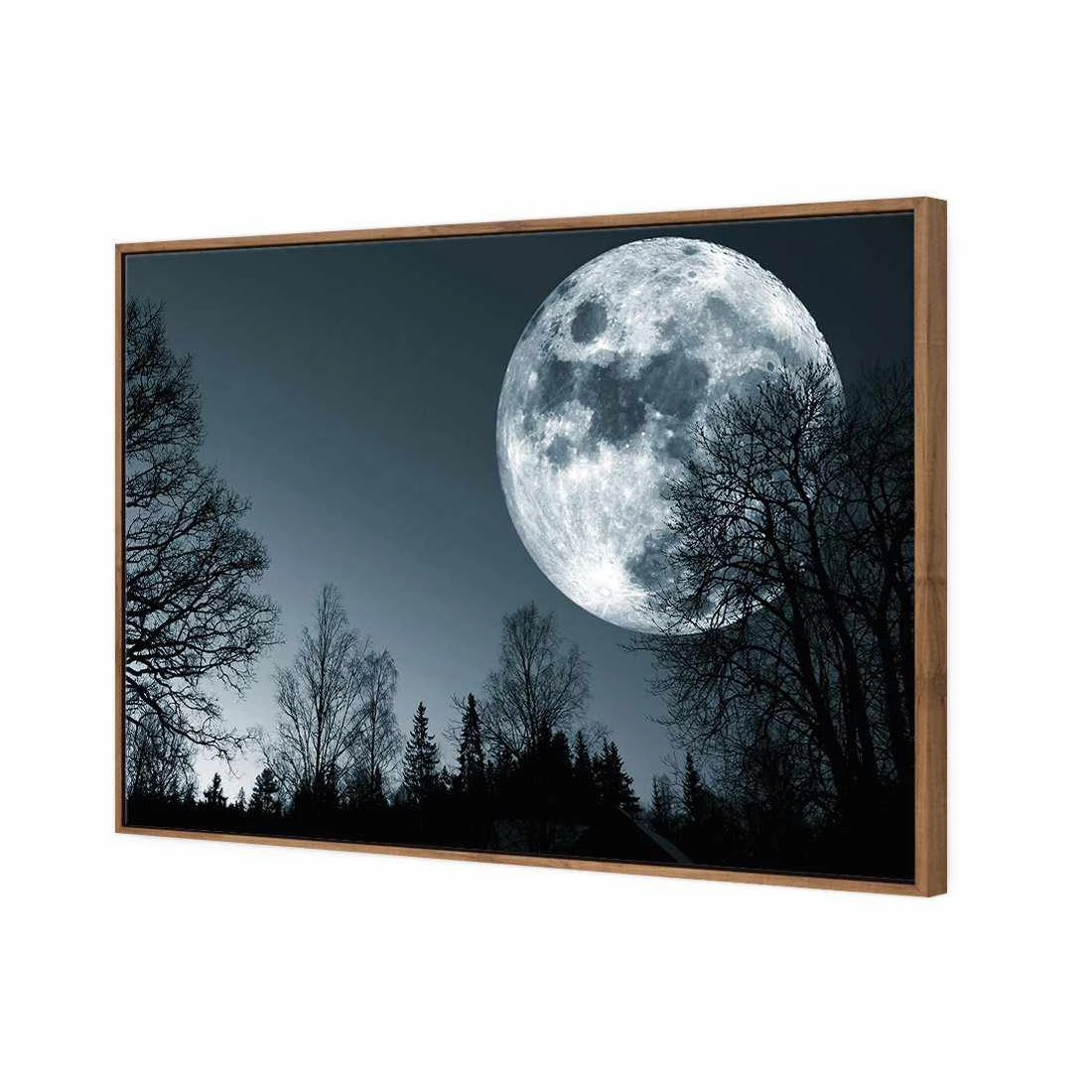 Forest Moon Canvas Art Forest Moon Canvas Art -WALL ART DESGIN SALE forest moon canvas art 45x30cm natural frame 567354