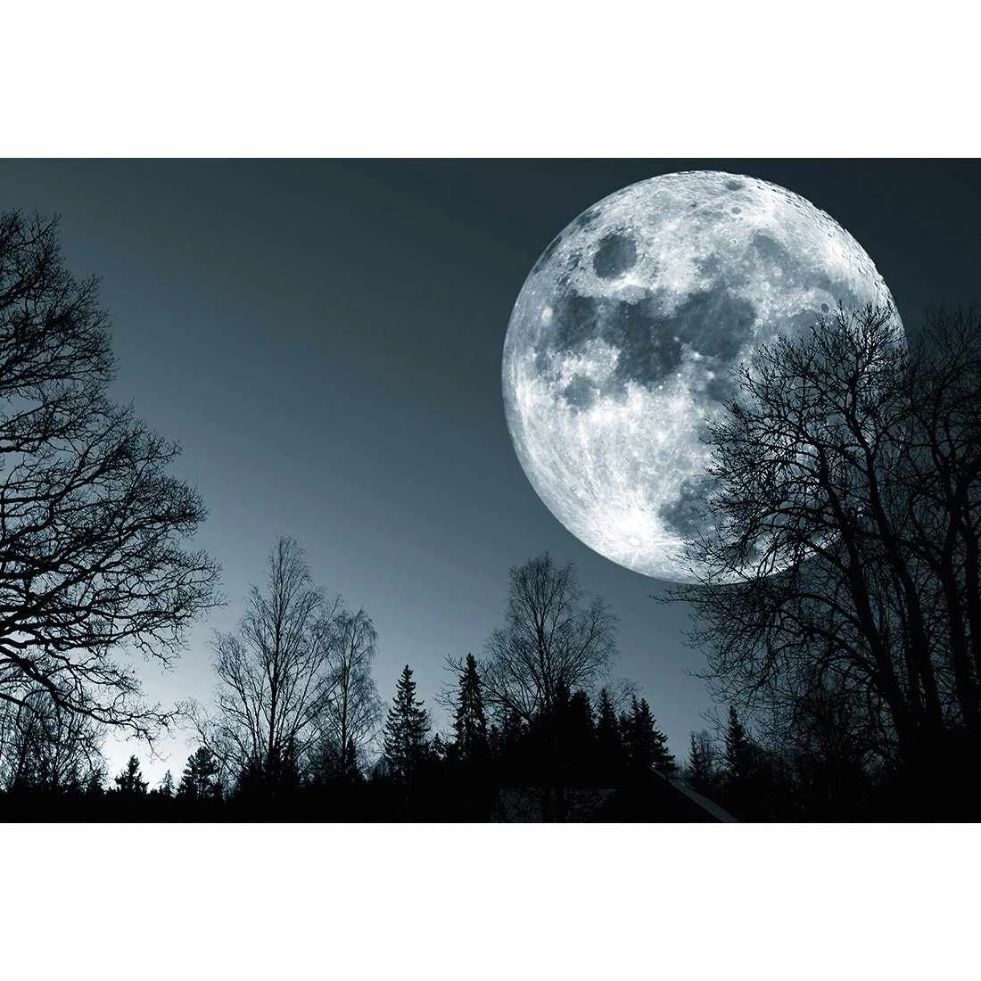 Forest Moon Canvas Art Forest Moon Canvas Art -WALL ART DESGIN SALE forest moon canvas art 45x30cm no frame 564743