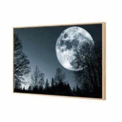 Forest Moon Canvas Art 6 Forest Moon Canvas Art -WALL ART DESGIN SALE forest moon canvas art 45x30cm oak frame 358531
