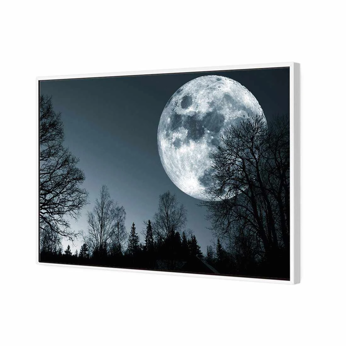 Forest Moon Canvas Art Forest Moon Canvas Art -WALL ART DESGIN SALE forest moon canvas art 45x30cm white frame 598370