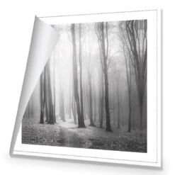 Forest Of Fire, Black And White (square) -WALL ART DESGIN SALE forest of fire black and white square canvas stretched canvas 37x37cm 736188