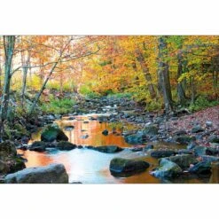 Forest Stream Canvas Art