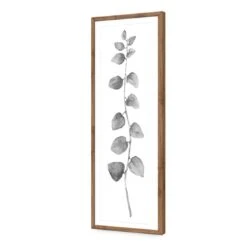 Fragrant Herb 1, Black And White (Long) -WALL ART DESGIN SALE fragrant herb 1 black and white long acrylic glass with border natural frame 90x30cm 607721
