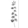 Fragrant Herb 1, Black And White (Long) -WALL ART DESGIN SALE fragrant herb 1 black and white long canvas stretched canvas 60x20cm 196115