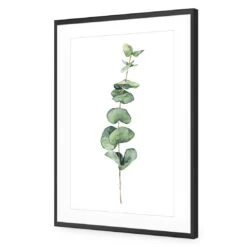 Fragrant Herb 2 Acrylic Print Art -WALL ART DESGIN SALE fragrant herb 2 acrylic print art with border black frame 45x30cm 121473