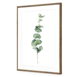 Fragrant Herb 2 Acrylic Print Art -WALL ART DESGIN SALE fragrant herb 2 acrylic print art with border natural frame 45x30cm 364071