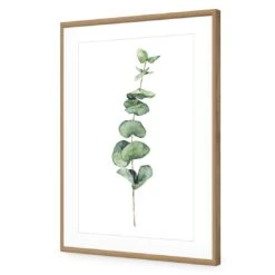 Fragrant Herb 2 Acrylic Print Art -WALL ART DESGIN SALE fragrant herb 2 acrylic print art with border oak frame 45x30cm 801067