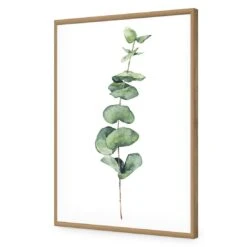 Fragrant Herb 2 Acrylic Print Art -WALL ART DESGIN SALE fragrant herb 2 acrylic print art without border oak frame 45x30cm 447620