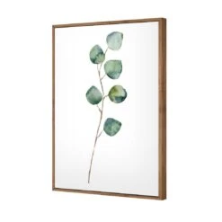 Fragrant Herb 3 Canvas Art 6 Fragrant Herb 3 Canvas Art -WALL ART DESGIN SALE fragrant herb 3 canvas art 45x30cm natural frame 522832