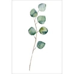 Fragrant Herb 3 Canvas Art