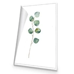 Fragrant Herb 3 Canvas Art 8 Fragrant Herb 3 Canvas Art -WALL ART DESGIN SALE fragrant herb 3 canvas art 45x30cm rolled canvas 471470