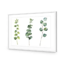 Fragrant Herb Trio -WALL ART DESGIN SALE fragrant herb trio canvas stretched canvas 45x30cm 173087
