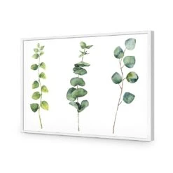 Fragrant Herb Trio -WALL ART DESGIN SALE fragrant herb trio canvas stretched canvas 45x30cm 223325