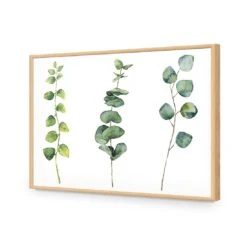 Fragrant Herb Trio -WALL ART DESGIN SALE fragrant herb trio canvas stretched canvas 45x30cm 494005