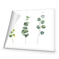 Fragrant Herb Trio -WALL ART DESGIN SALE fragrant herb trio canvas stretched canvas 45x30cm 498088