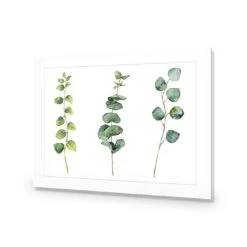 Fragrant Herb Trio -WALL ART DESGIN SALE fragrant herb trio canvas stretched canvas 45x30cm 549869
