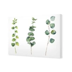 Fragrant Herb Trio -WALL ART DESGIN SALE fragrant herb trio canvas stretched canvas 45x30cm 555651